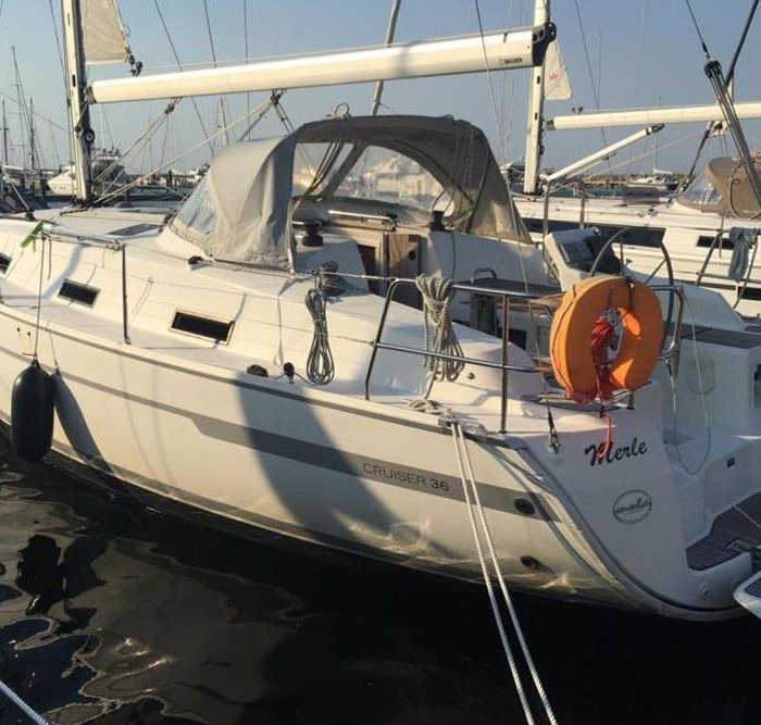 Kiwi | Bavaria 36 photo 1