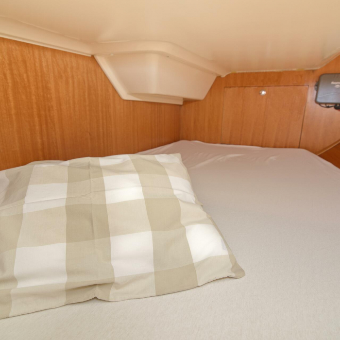 Amazone | Elan 344 Impression photo 24